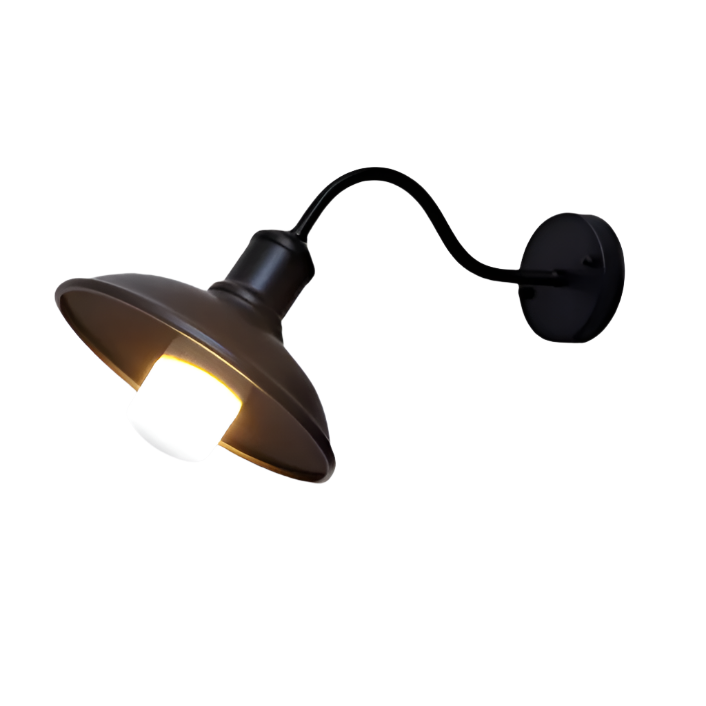 Industrial Bowl Shaped Iron Outdoor Wall Light 9