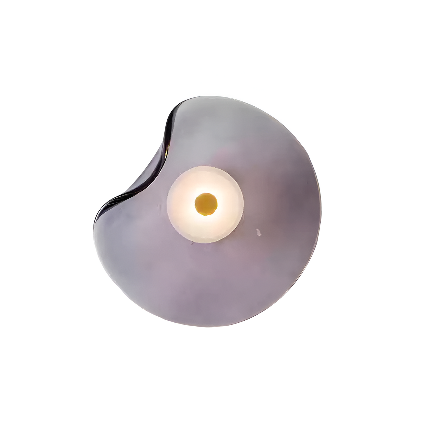 Nordic Curved Glass Japandi Style Glass LED Wall Light 10