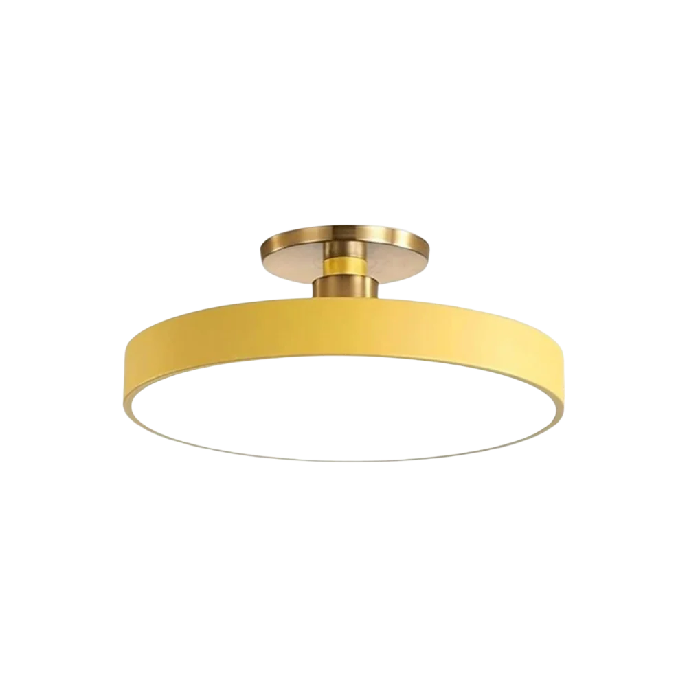 The Serene Halo Ceiling Light 12