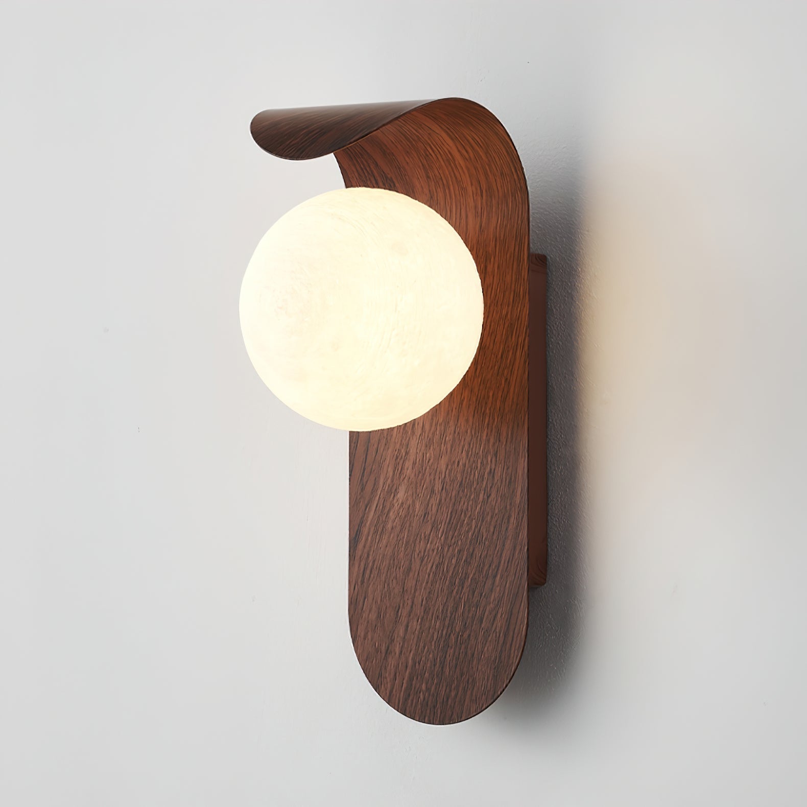 Carlyle Nordic Minimalist Iron Wood Accent LED Wall Light 0