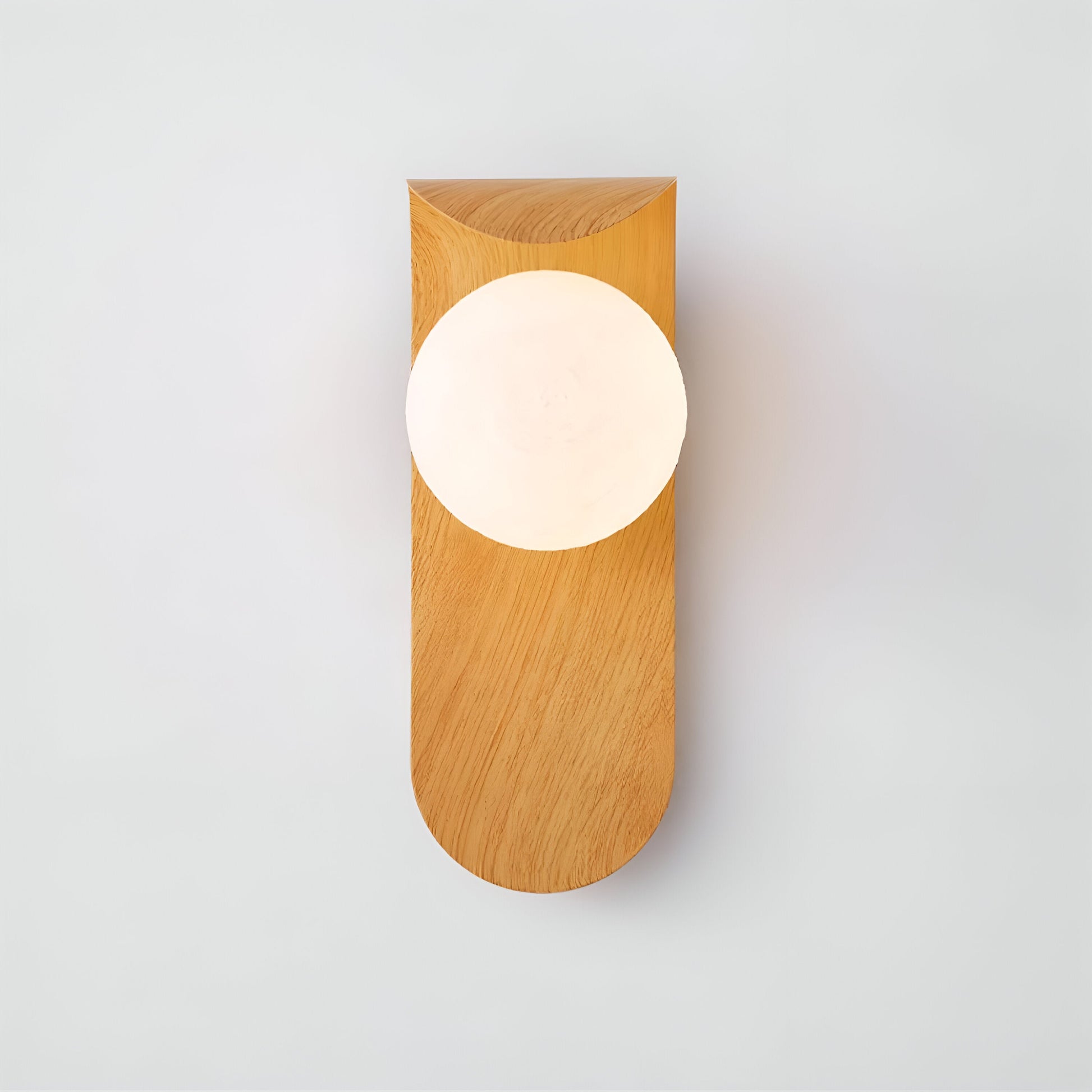 Carlyle Nordic Minimalist Iron Wood Accent LED Wall Light 2