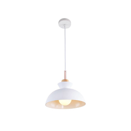 Modern Dome Pendant Light for Kitchen