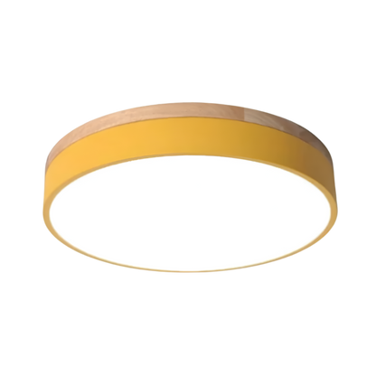 Nordic LED Round Flush Acrylic Minimalist Ceiling Light 10