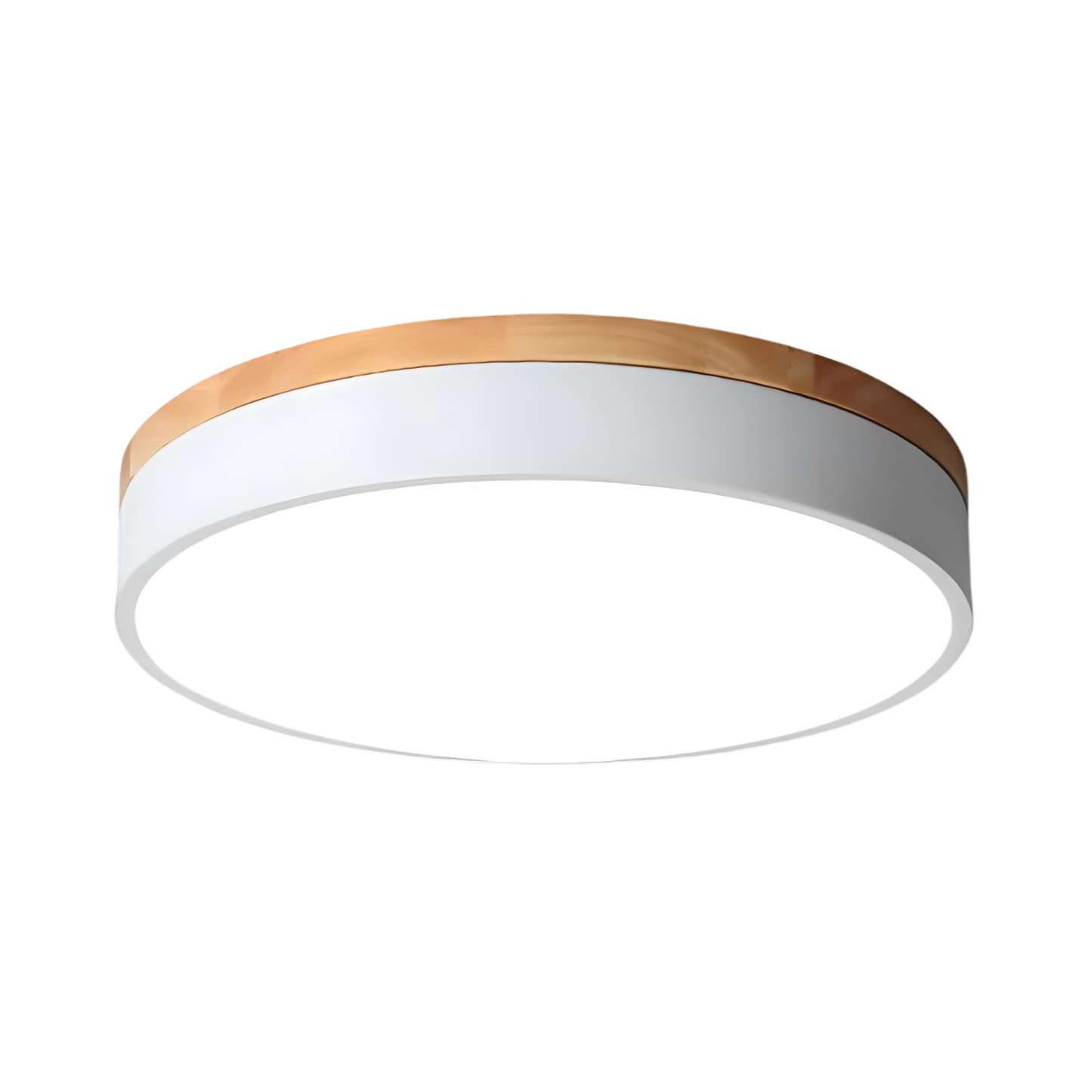Nordic LED Round Flush Acrylic Minimalist Ceiling Light 12