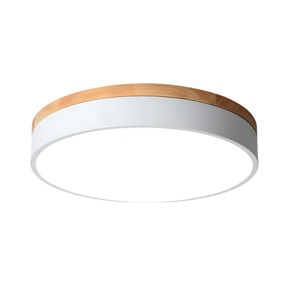 Nordic LED Round Flush Acrylic Minimalist Ceiling Light 12