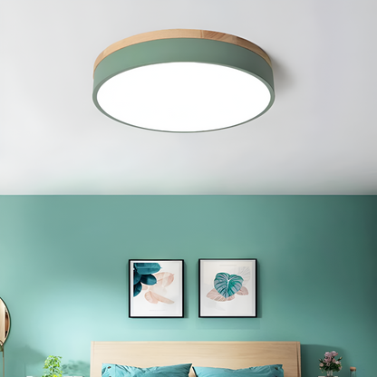 Nordic LED Round Flush Acrylic Minimalist Ceiling Light 5