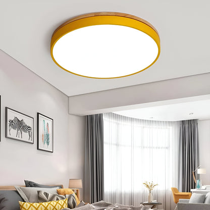 Nordic LED Round Flush Acrylic Minimalist Ceiling Light 7