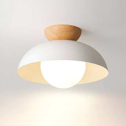 Nordic Minimalist Eco Iron Shade Ceiling Light 1
