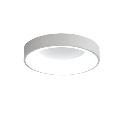 Nordic Modern Ring Shaped LED Ceiling Light 0