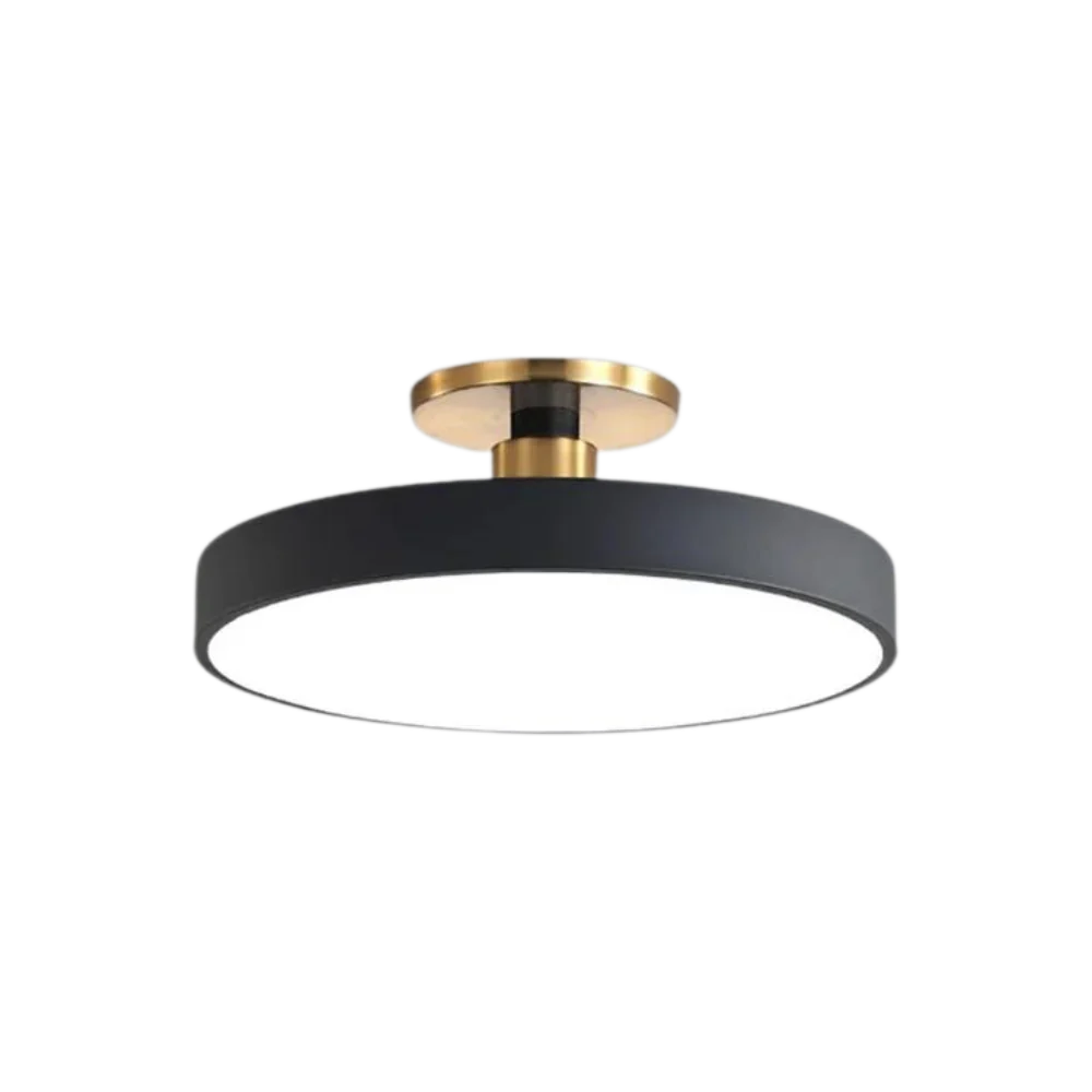 The Serene Halo Ceiling Light 11