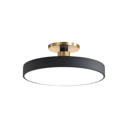 The Serene Halo Ceiling Light 11