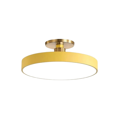 The Serene Halo Ceiling Light 12