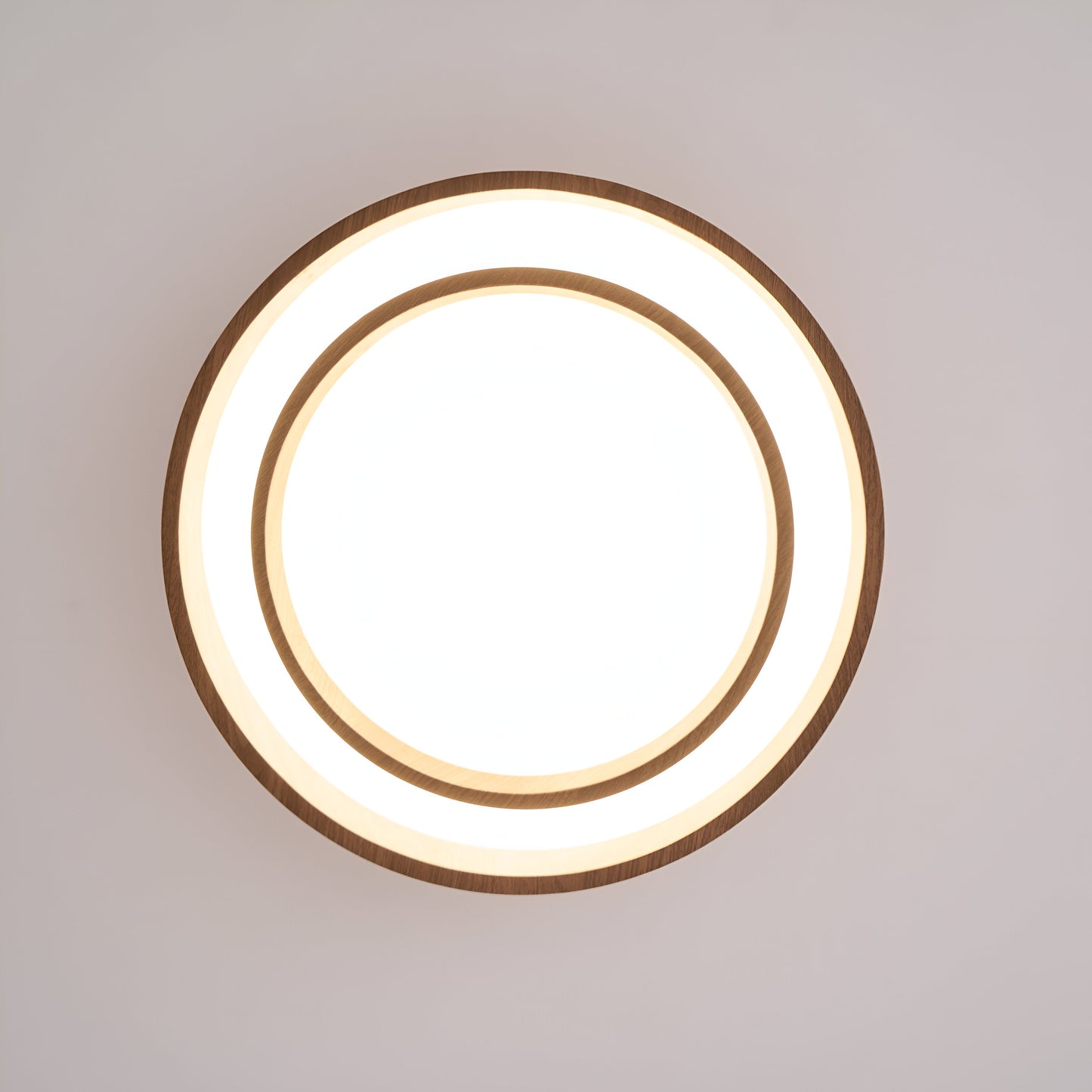 Nordic Modern Acrylic LED Ceiling Light