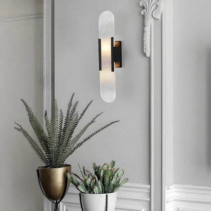 Black and Gold LED Wall Lamp Modern Decorative Lighting