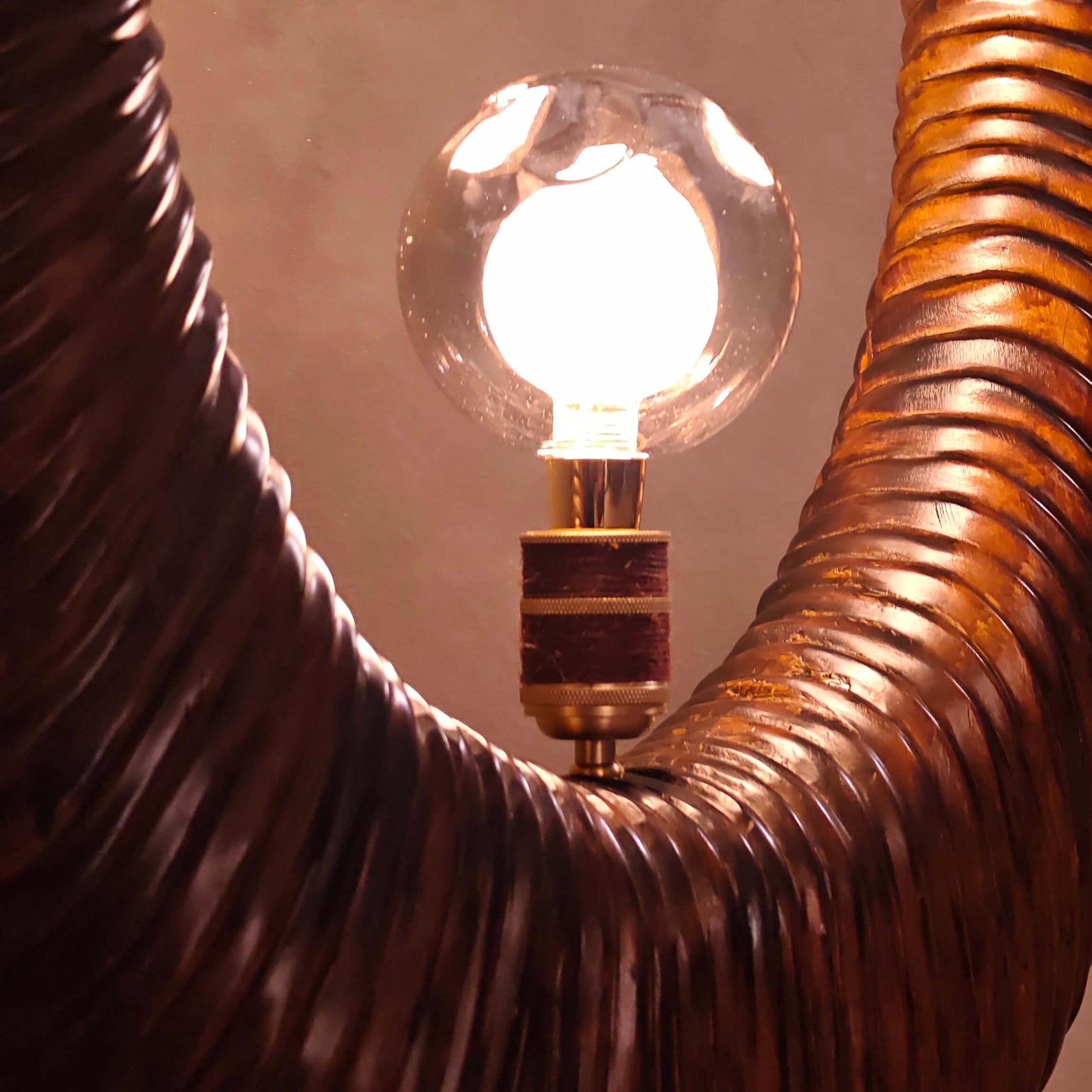 Light bulb inside a coiled metal hose against a neutral background
