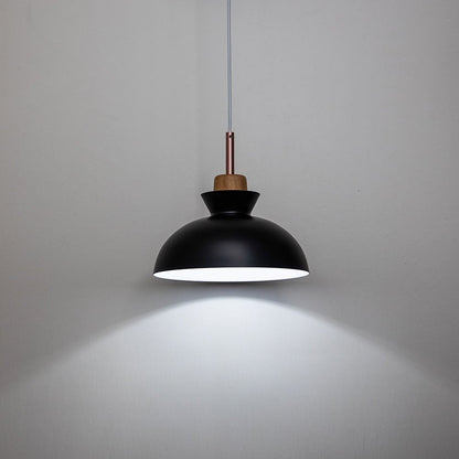 Modern Dome Pendant Light for Kitchen