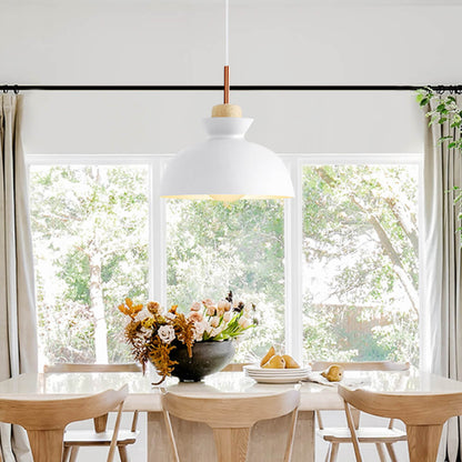 Modern Dome Pendant Light for Kitchen